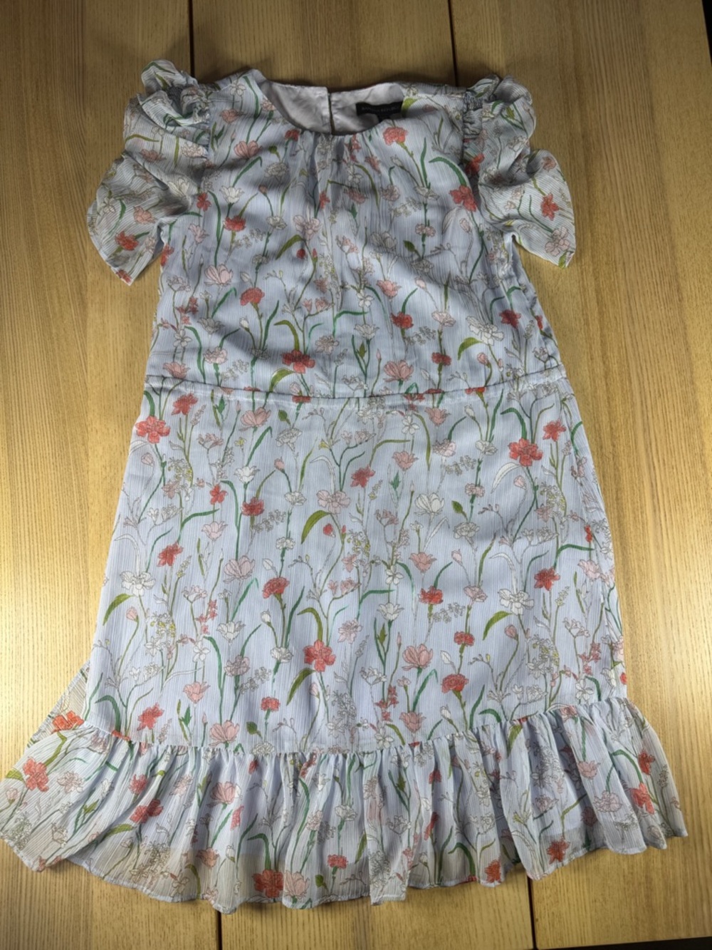Banana Republic Blue Floral Georgette Ruffle Mini Dress Petite 00 Short Sleeve